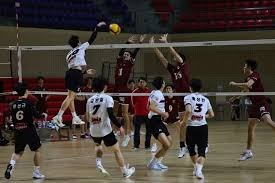 台湾职棒：2025 年台钢雄鹰正式迁入高雄澄清湖球场作为永久主场